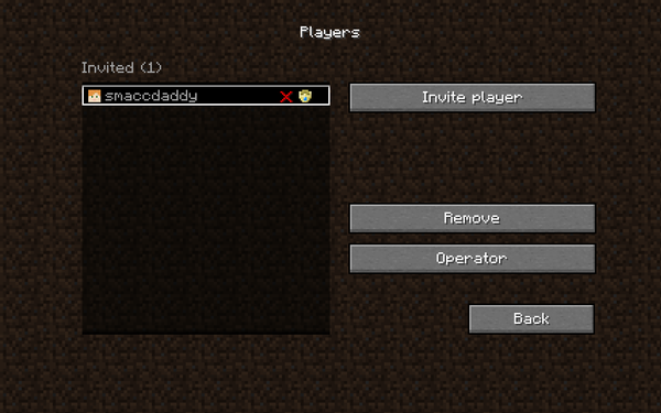 8 come fare multiplayer in minecraft java.