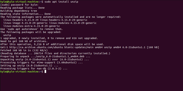 terminale di comando linux con il comando "install unzip" inserito ed elaborato