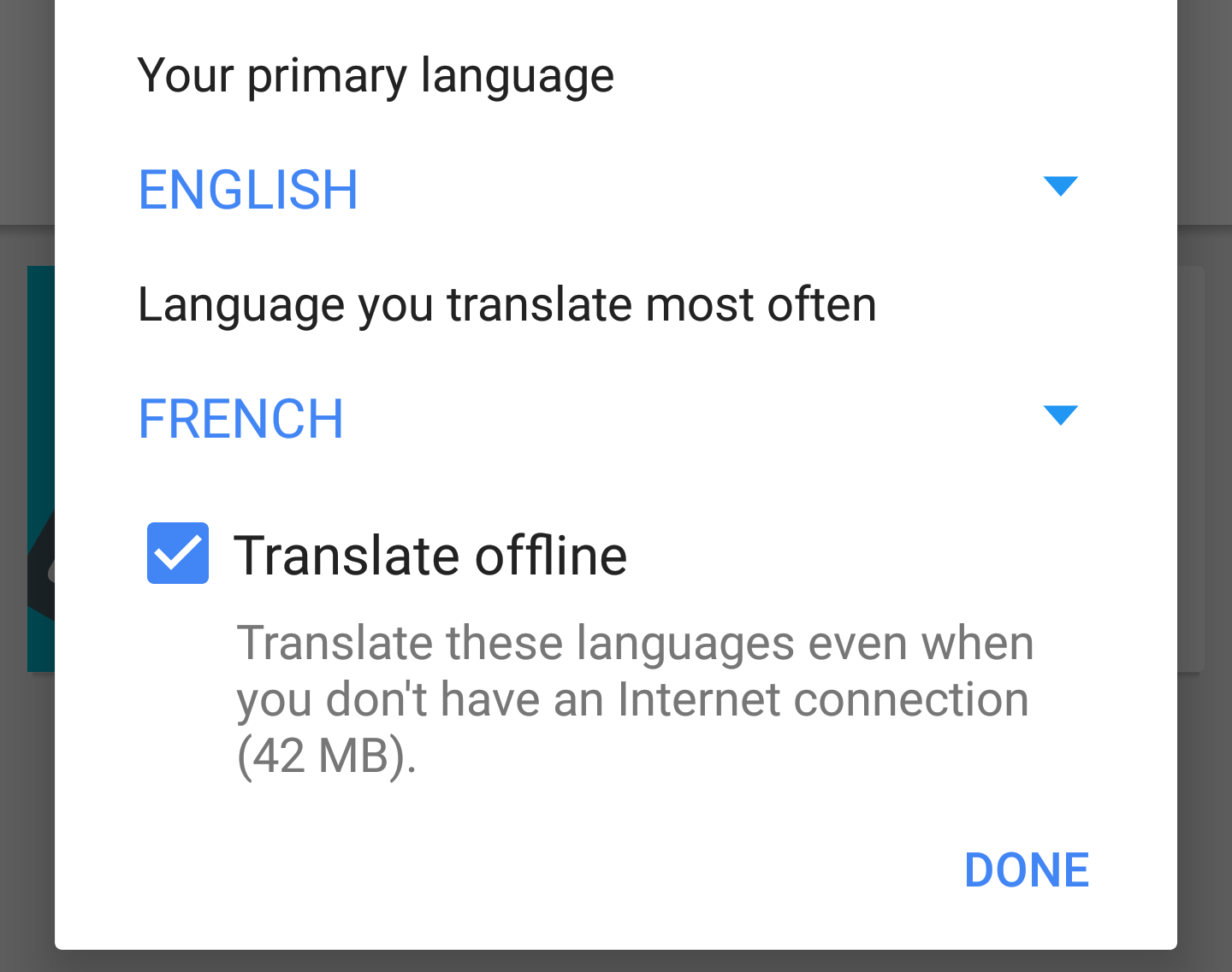 pacchetto offline di google translate