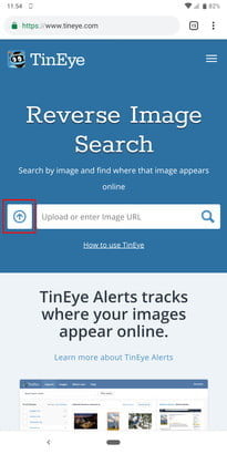 Ricerca inversa delle immagini utilizzando Tineye.com
