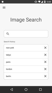 come eseguire una ricerca inversa di immagini in Android iOS search1