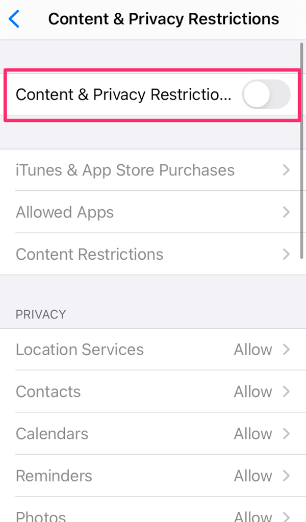 Schermata della pagina Restrizioni di contenuto e privacy in Impostazioni iPhone