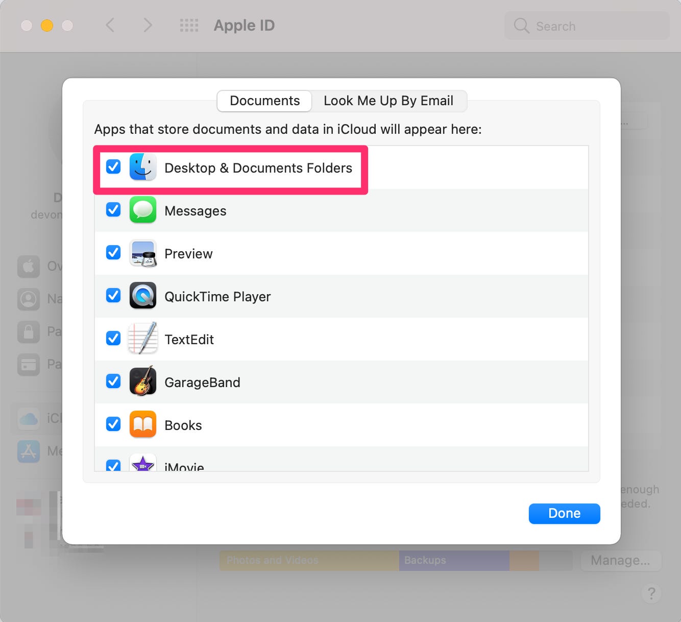 Schermata delle opzioni di iCloud nelle Preferenze di Sistema del Mac