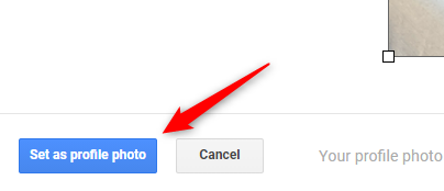 Fare clic sul pulsante "Imposta come foto del profilo".