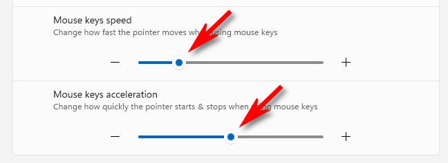 Usa i cursori di velocità e accelerazione dei tasti del mouse per far muovere il puntatore del mouse più velocemente o più lentamente.