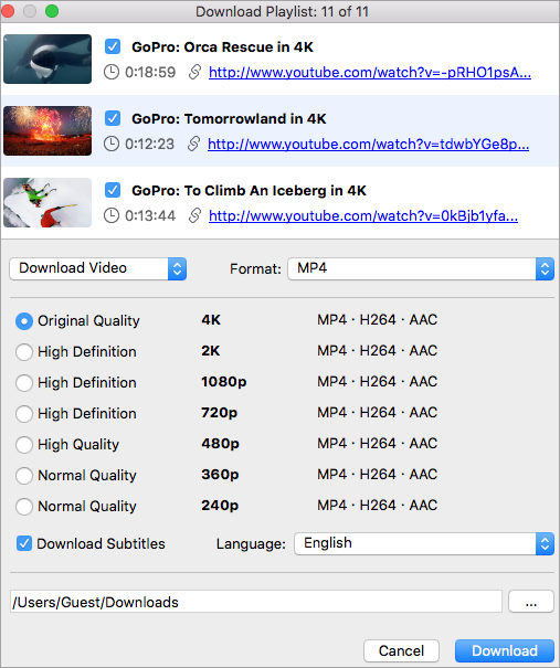 Downloader video 4K