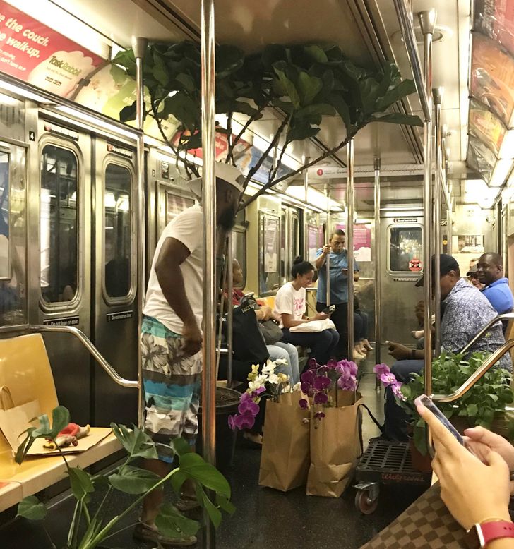 16 Photos That Prove the Subway Is a Portal to a Fantasy World