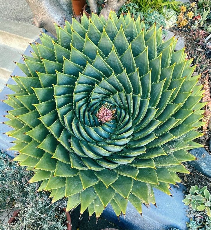 20 Pics That Prove Nature Is the Best Artist