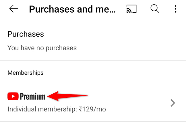 Tocca "Premium" nella sezione "Abbonamenti" nell'app YouTube.