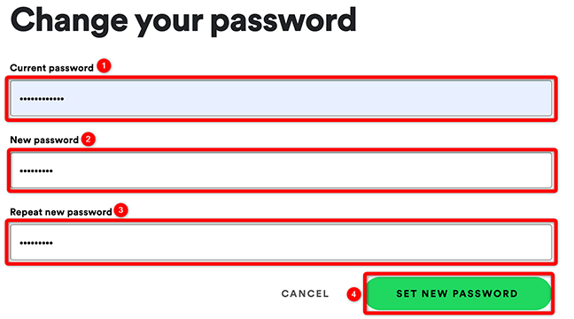Inserisci la vecchia e la nuova password e fai clic su "Imposta nuova password" su Spotify.