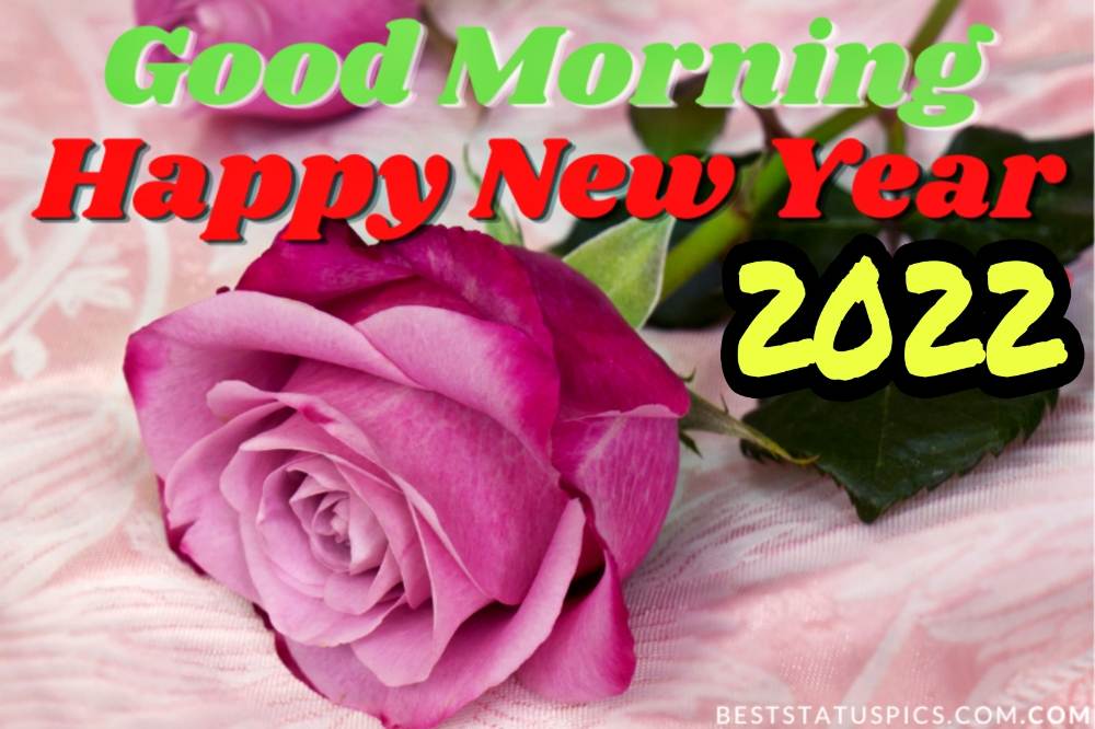 Bella ecard buongiorno felice anno nuovo 2022 con fiore di rosa