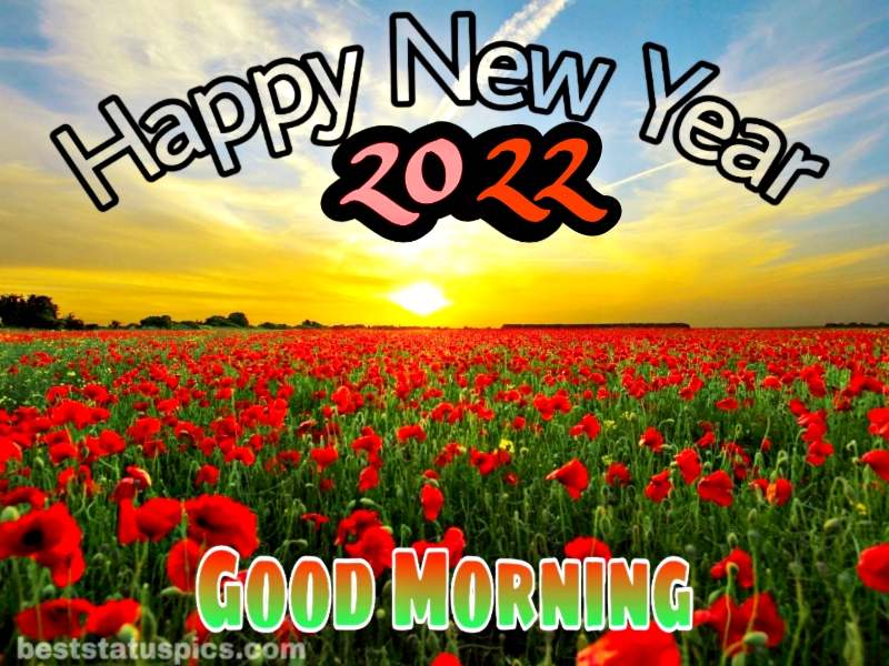 Felice anno nuovo 2022 e foto di buongiorno con natura, alba e roseto