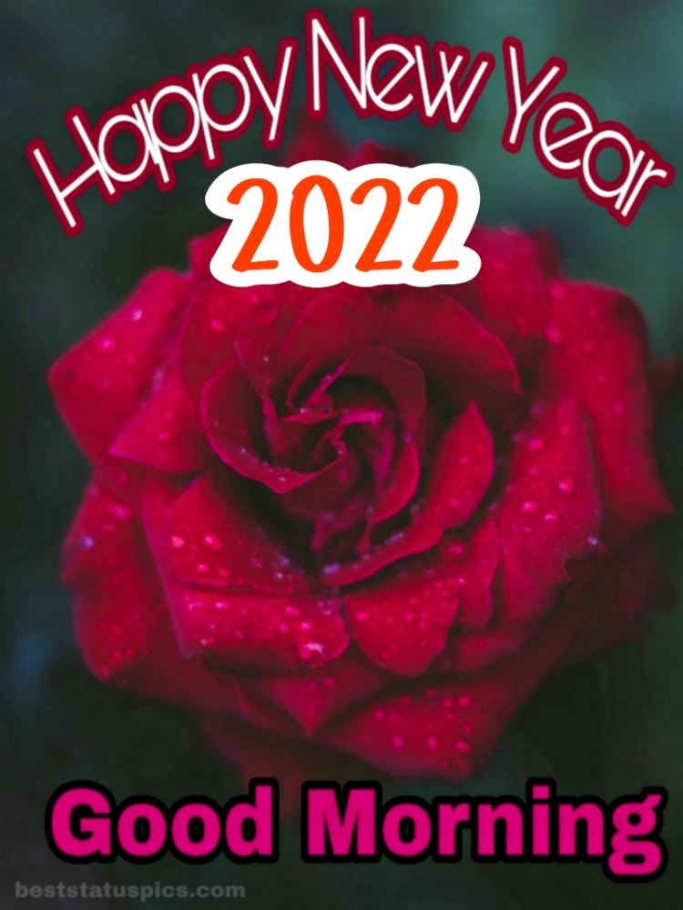 Buongiorno Felice Anno Nuovo 2022 augura immagini HD con rosa per lo stato di Facebook