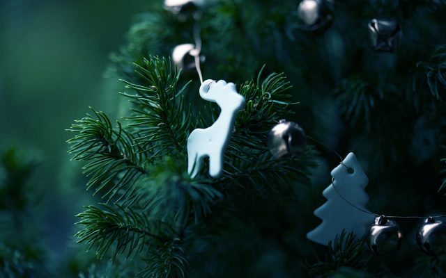 Decorazione-Natale-su-Pianta-Abete-1920×1200