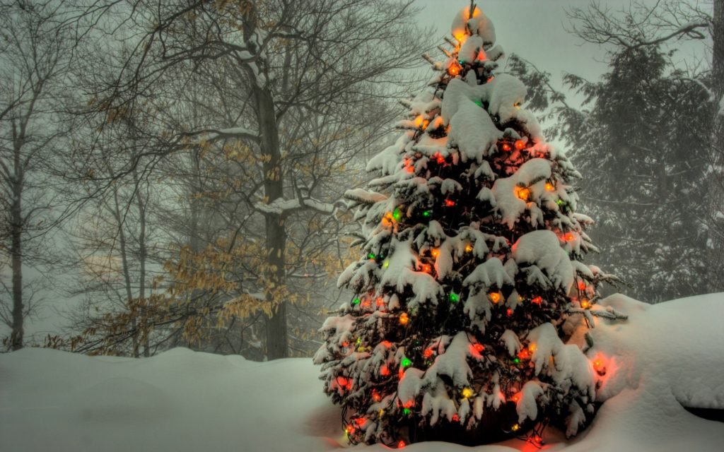 albero di natale con luci e neve