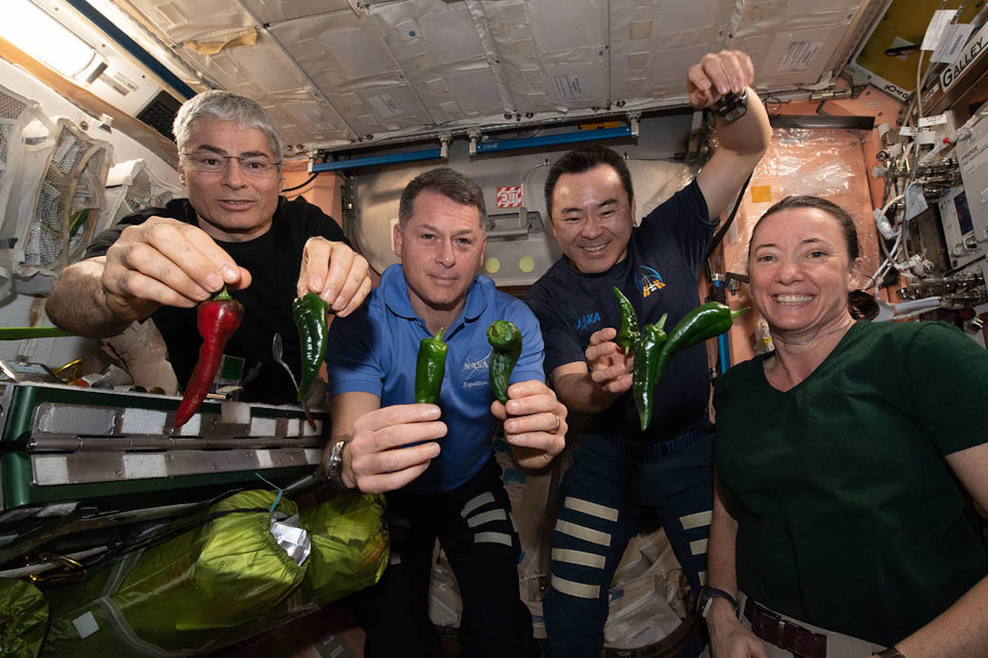 Quattro astronauti sorridono con in mano dei peperoni verdi sulla Stazione Spaziale Internazionale. Alcuni peperoni galleggiano.