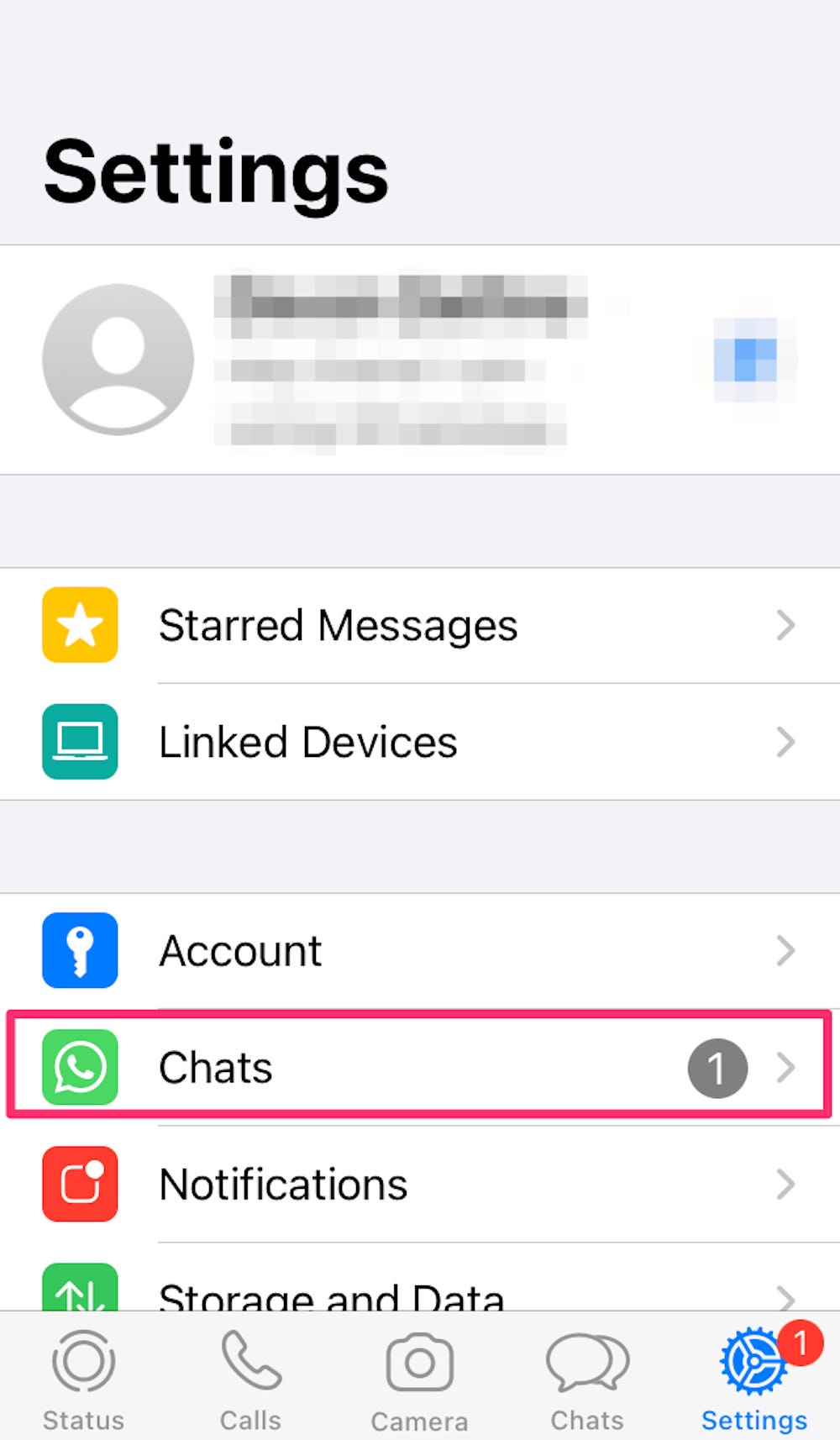 Schermata della sezione delle impostazioni di WhatsApp, come scattata su un iPhone