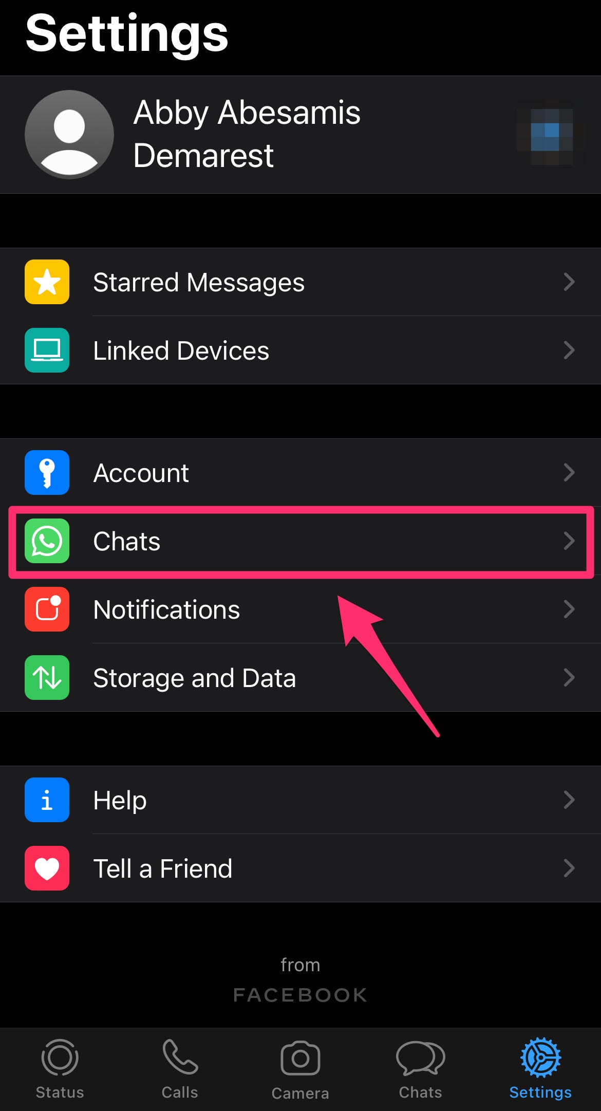 Screenshot della sezione Impostazioni di WhatsApp con le chat evidenziate