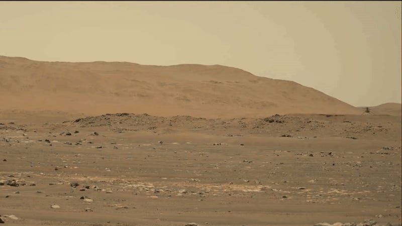 elicottero ingegnoso vola su Marte gif