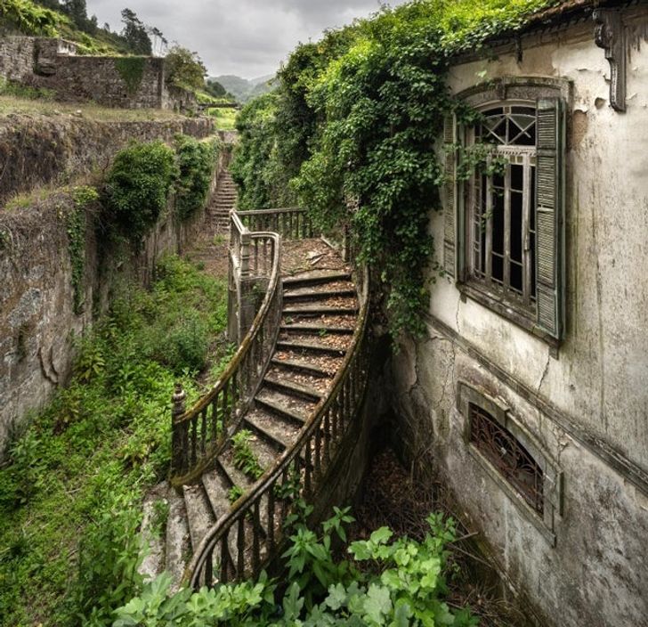 Più di 15 foto di luoghi in cui la natura ha ripreso il controllo