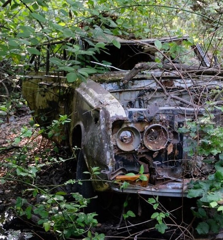 Più di 15 foto di luoghi in cui la natura ha ripreso il controllo