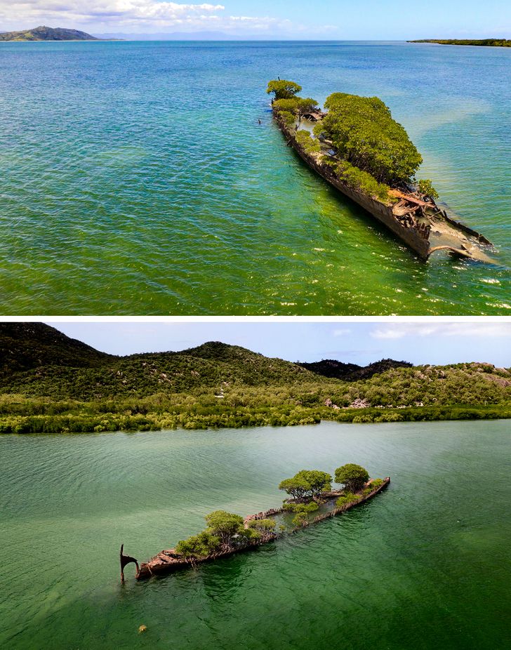 15+ Photos of Places Where Nature Took Back Control