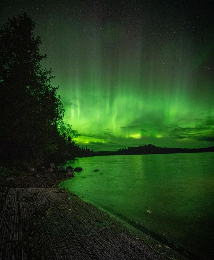 15 volte in cui le persone sono state abbastanza fortunate da trovare alcune opere d'arte della natura