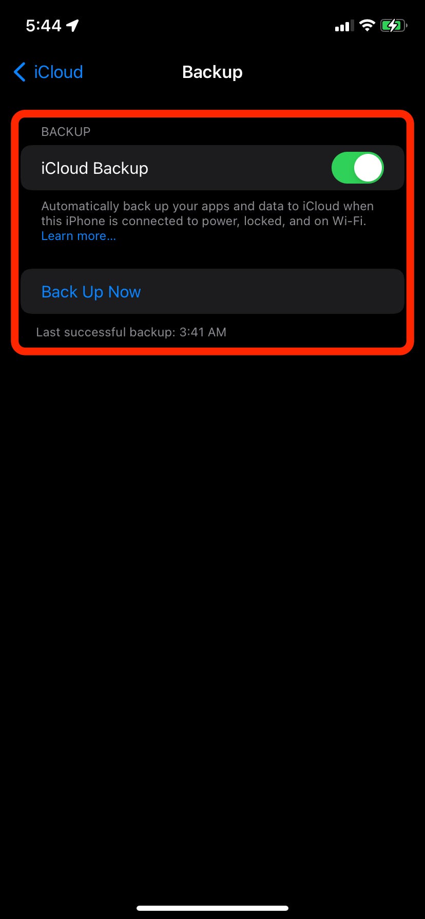 La pagina Backup su un iPhone, dove puoi impostare backup automatici o crearne uno manuale.