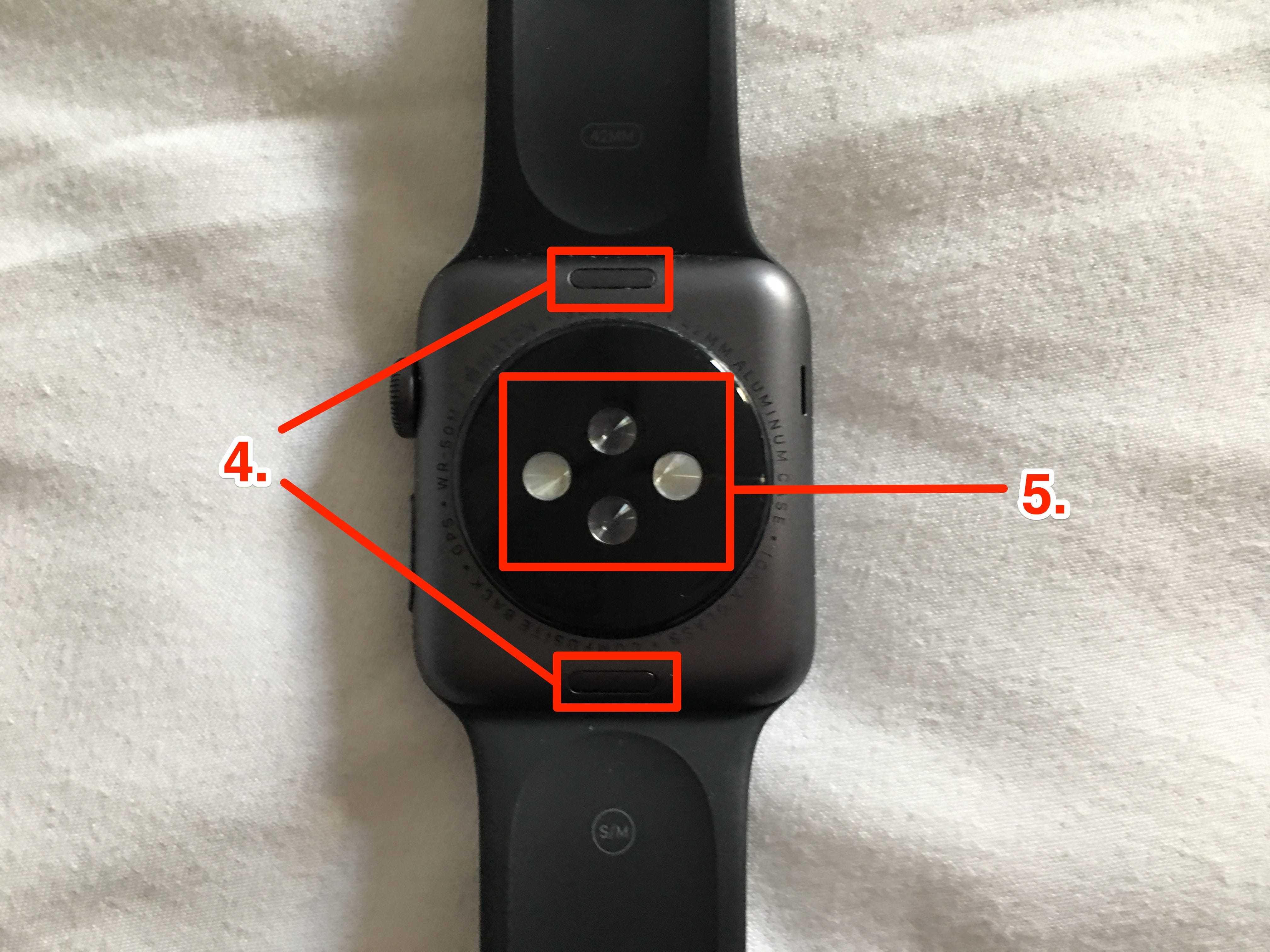 Un diagramma del retro di un Apple Watch, che mostra i pulsanti di rilascio del cinturino e i sensori cardiaci.