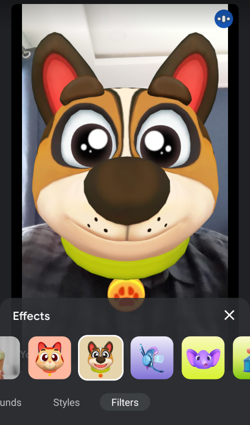 Google Meet: How to Turn Your Face into a Dog's Face