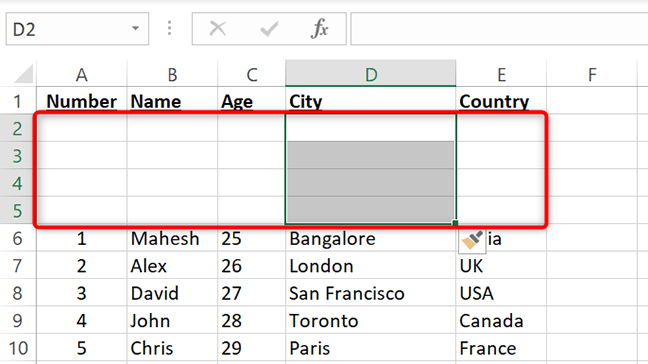 Nuove righe aggiunte in Excel.