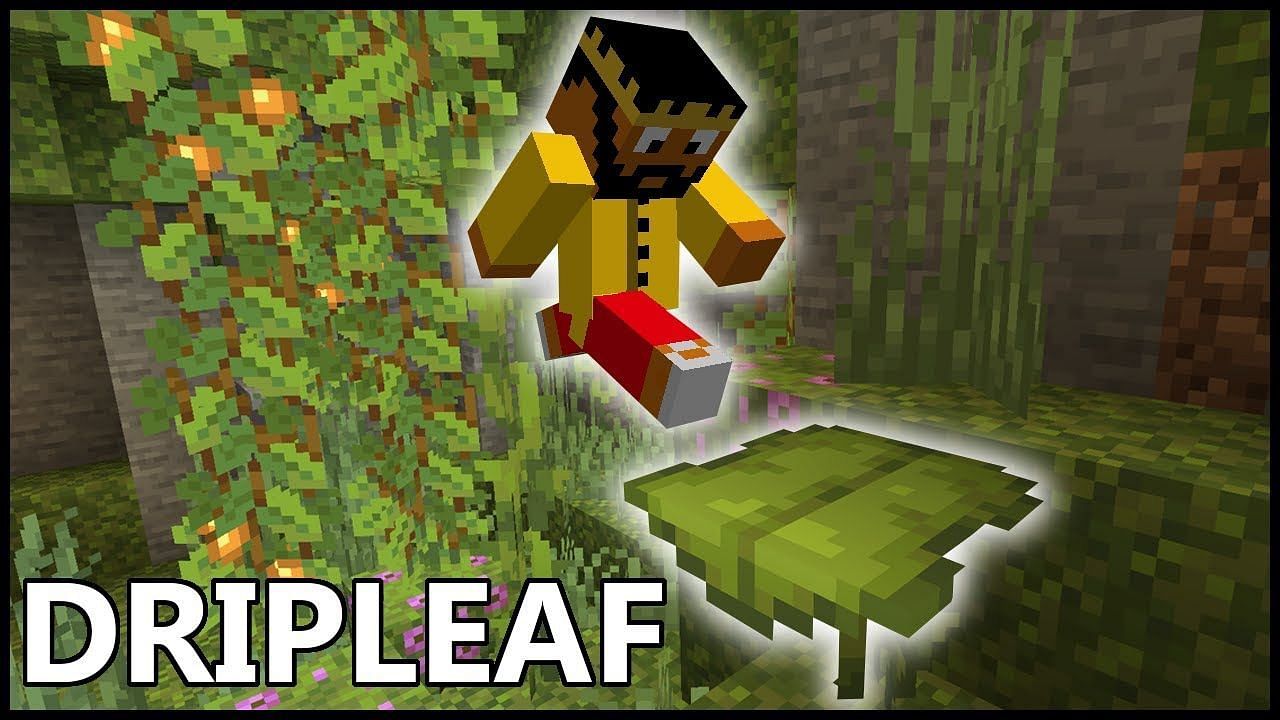 Grandi foglie a goccia possono essere utilizzate per il parkour (Immagine tramite RajCraft su YouTube)