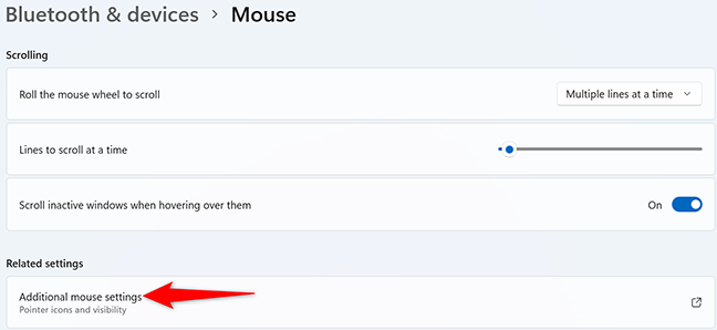 Seleziona "Impostazioni aggiuntive del mouse" nella pagina "Mouse".