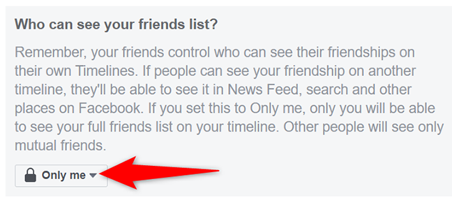 Fai clic sul menu a discesa nella sezione "Chi può vedere la tua lista di amici".