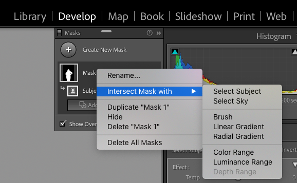 Menu di mascheratura di Lightroom con "interseca maschera con" evidenziato, che mostra una gamma di opzioni.