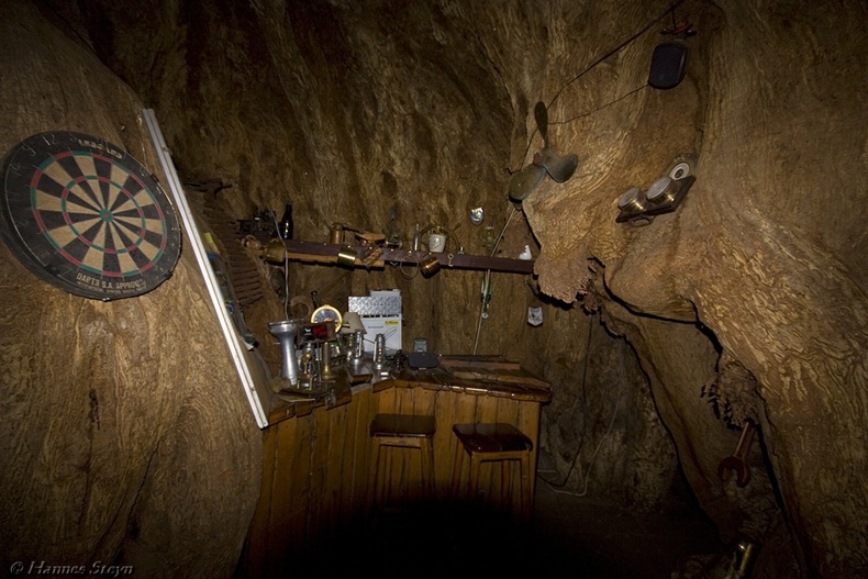 C'è in realtà un bar scavato all'interno di questo albero di 6000 anni