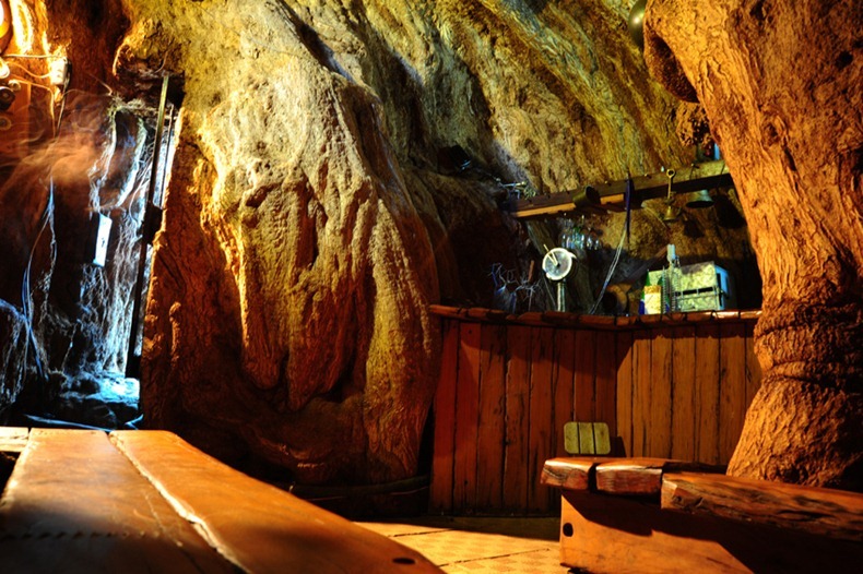 C'è in realtà un bar scavato all'interno di questo albero di 6000 anni