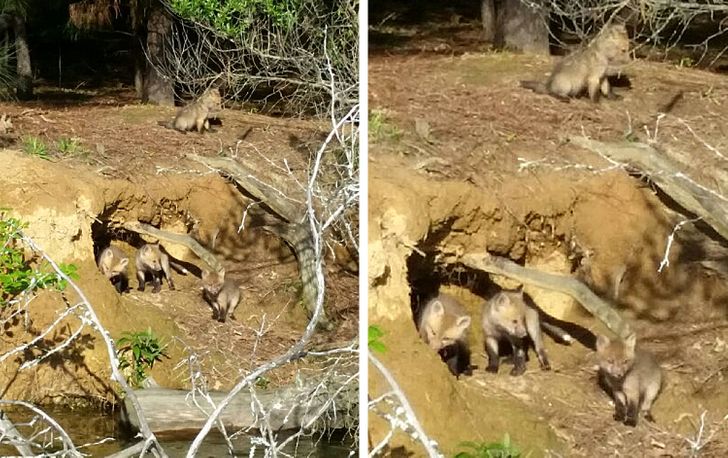 Più di 15 volte Madre Natura non ha avuto bisogno di effetti speciali per impressionarci