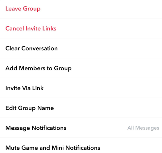 Snapchat più opzioni di gestione del gruppo.