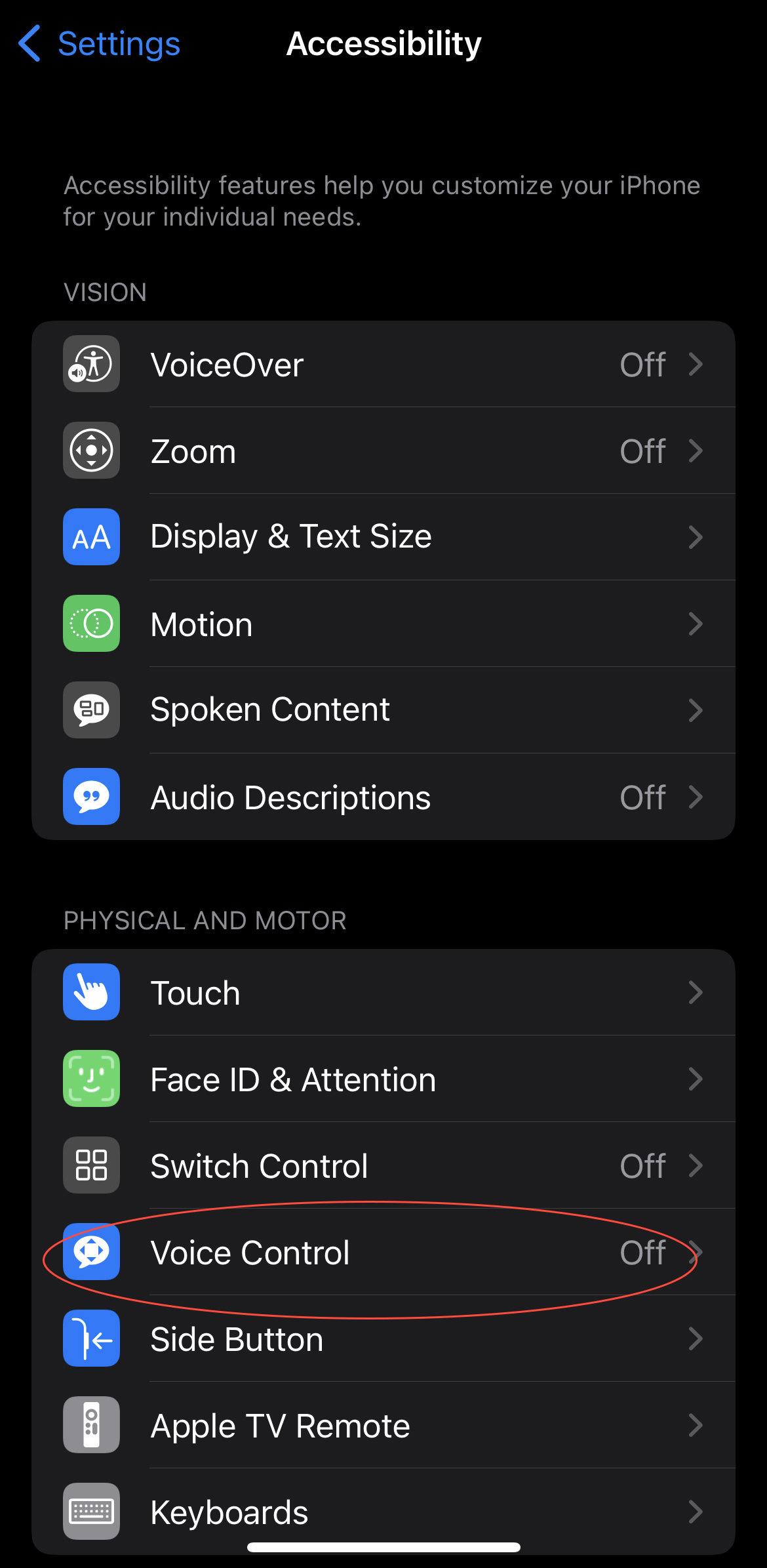 Screenshot della pagina Accessibilità su iPhone con un cerchio rosso attorno a Controllo vocale