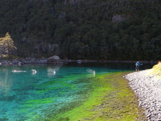 Questo lago della Nuova Zelanda è il più limpido del mondo e ha una visibilità di 260 piedi