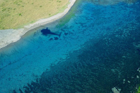 Questo lago della Nuova Zelanda è il più limpido del mondo e ha una visibilità di 260 piedi