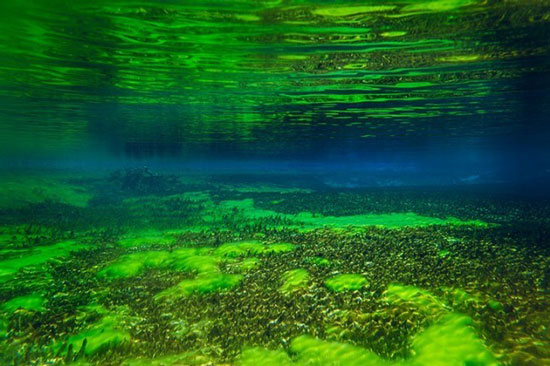 Questo lago della Nuova Zelanda è il più limpido del mondo e ha una visibilità di 260 piedi