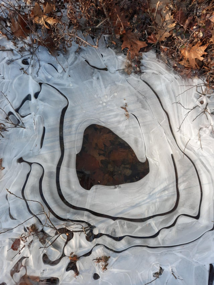 25 Pictures That Prove Mother Nature Can Be a Winter Artist