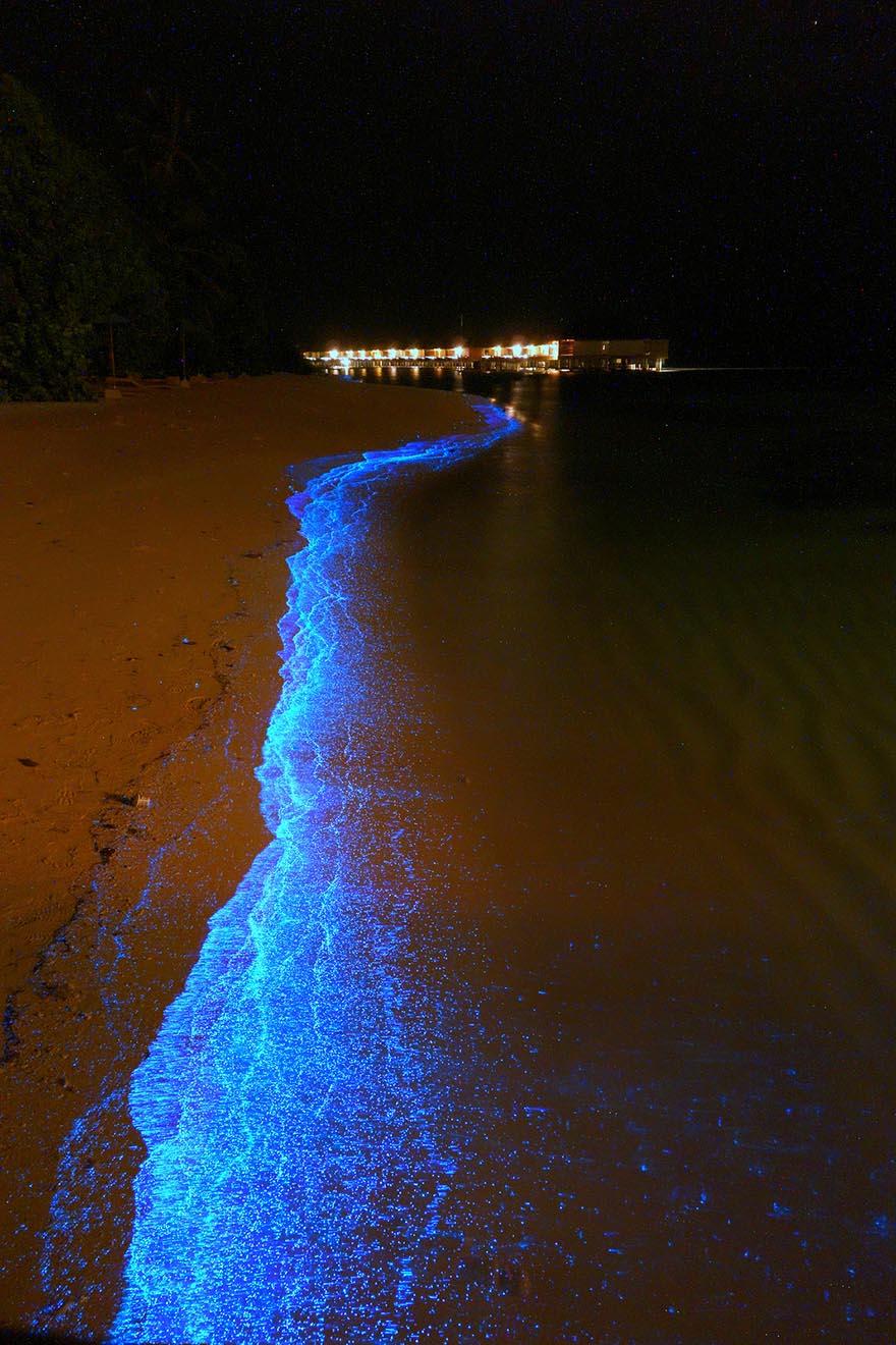 Questa spiaggia delle Maldive sembra un oceano di stelle