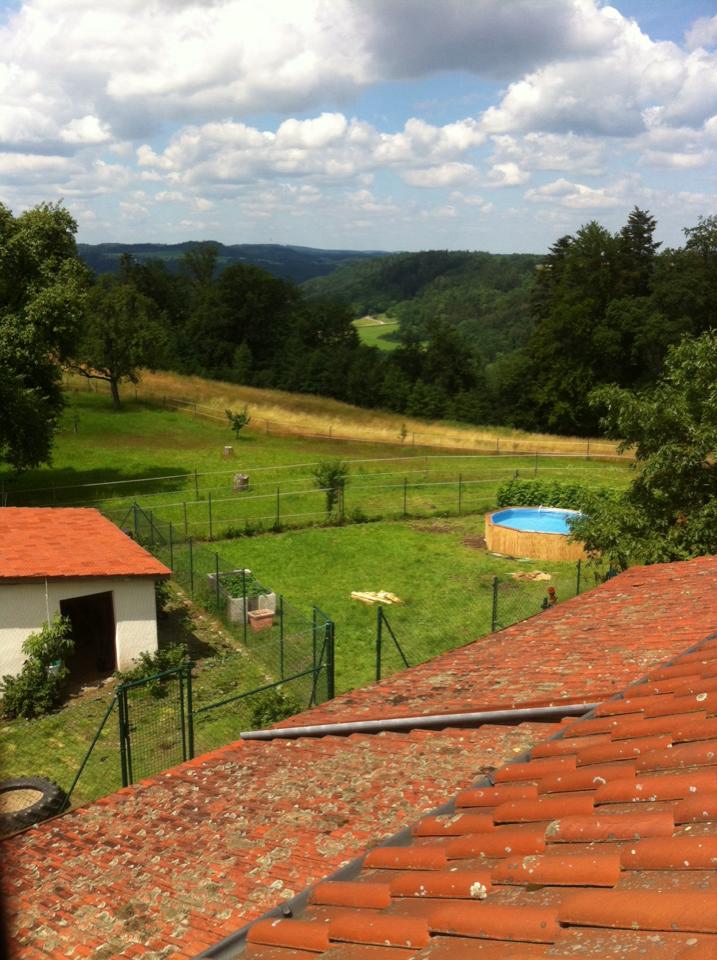 La famiglia costruisce una piscina nel cortile con i pallet ed è fantastica