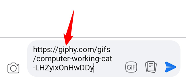 Incolla l'URL di una GIF.