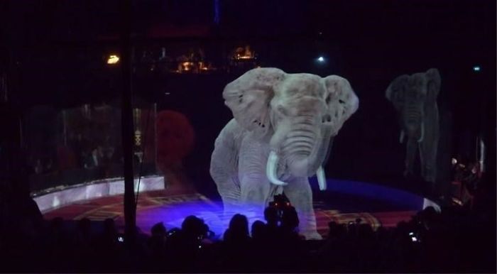 Il circo utilizza ologrammi invece di animali vivi per un'esperienza senza crudeltà