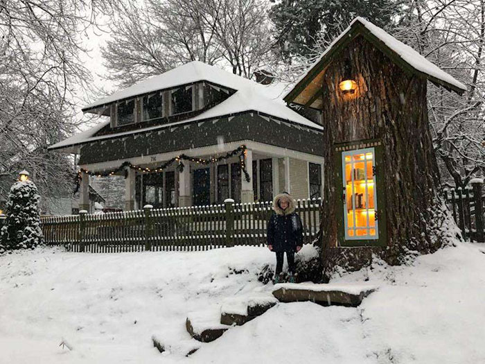 Una donna trasforma un ceppo di albero di 110 anni in una biblioteca magica gratuita per il quartiere