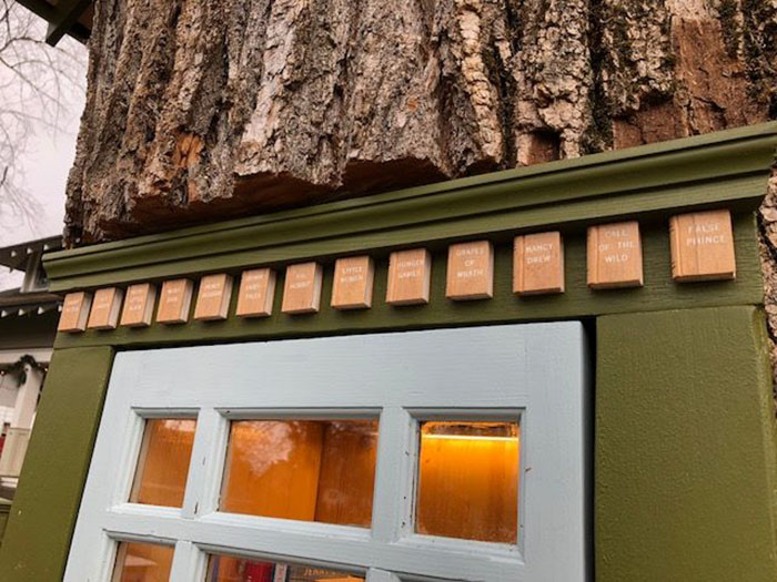 Una donna trasforma un ceppo di albero di 110 anni in una biblioteca magica gratuita per il quartiere